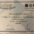 Resmi büyüt: certificate 8
