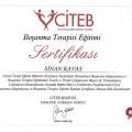 Resmi büyüt: certificate 4
