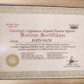 Resmi büyüt: certificate 11
