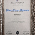 Resmi büyüt: certificate 3