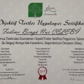Resmi büyüt: certificate 2