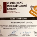 Resmi büyüt: certificate 24