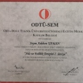 Resmi büyüt: certificate 5