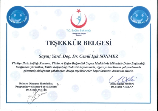 Cemil Işık Sönmez-16