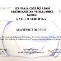 Resmi büyüt: certificate 4