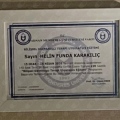 Resmi büyüt: certificate 14