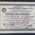 Resmi büyüt: certificate 8