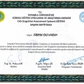 Resmi büyüt: certificate 13