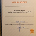 Resmi büyüt: certificate 12