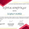 Resmi büyüt: certificate 5