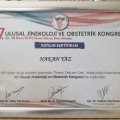 Resmi büyüt: certificate 53