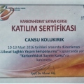 Resmi büyüt: certificate 5
