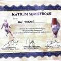 Resmi büyüt: certificate 3