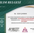Resmi büyüt: certificate 9