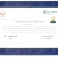 Resmi büyüt: certificate 5