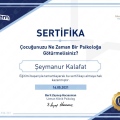 Resmi büyüt: certificate 20