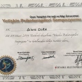 Resmi büyüt: certificate 9