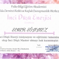 Resmi büyüt: certificate 23