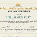 Resmi büyüt: certificate 1