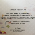 Resmi büyüt: certificate 4
