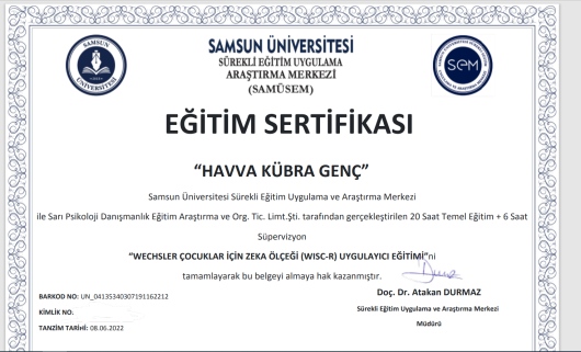 Havva Kübra Genç-13
