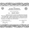 Resmi büyüt: certificate 5