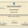 Resmi büyüt: certificate 7