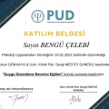 Resmi büyüt: certificate 5