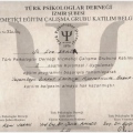 Resmi büyüt: certificate 16