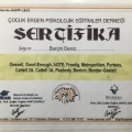 Resmi büyüt: certificate 2
