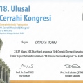 Resmi büyüt: certificate 23