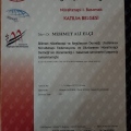 Resmi büyüt: certificate 21