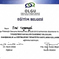 Resmi büyüt: certificate 7
