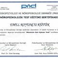 Resmi büyüt: certificate 10