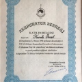 Resmi büyüt: certificate 15