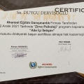 Resmi büyüt: certificate 17