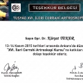 Resmi büyüt: certificate 11