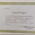 Resmi büyüt: certificate 8