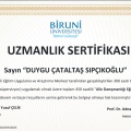 Resmi büyüt: certificate 6