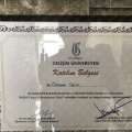 Resmi büyüt: certificate 13