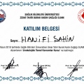 Resmi büyüt: certificate 13