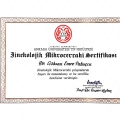 Resmi büyüt: certificate 3
