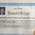 Resmi büyüt: certificate 2