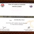 Resmi büyüt: certificate 7