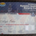Resmi büyüt: certificate 15