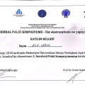 Resmi büyüt: certificate 6