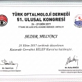 Resmi büyüt: certificate 1