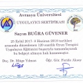 Resmi büyüt: certificate 4