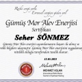 Resmi büyüt: certificate 19