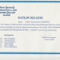 Resmi büyüt: certificate 23